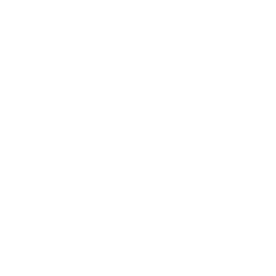 Undercover Artist