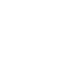 Accessibility - UserWay Icon